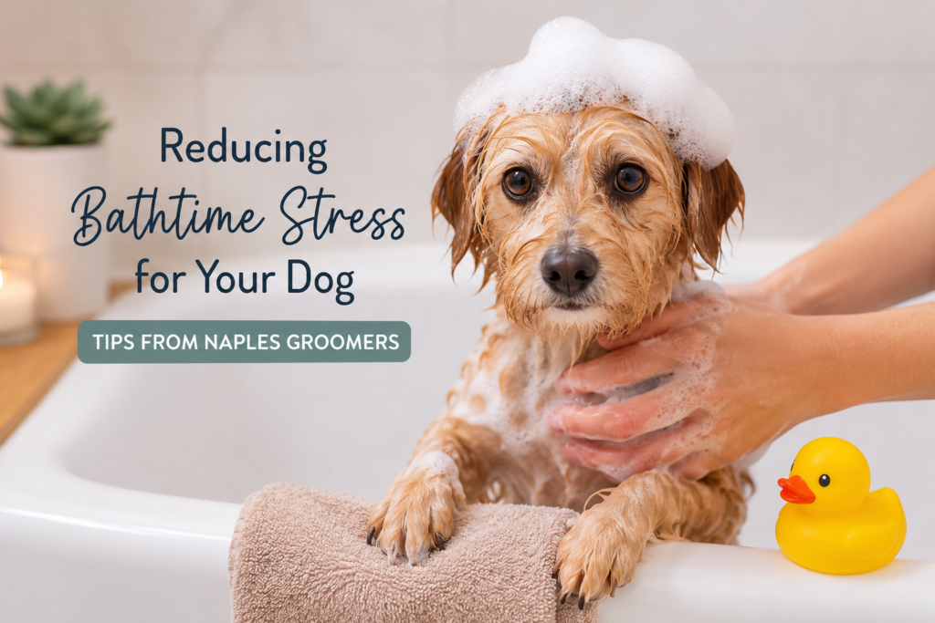Reducing Dog Bathtime Stress